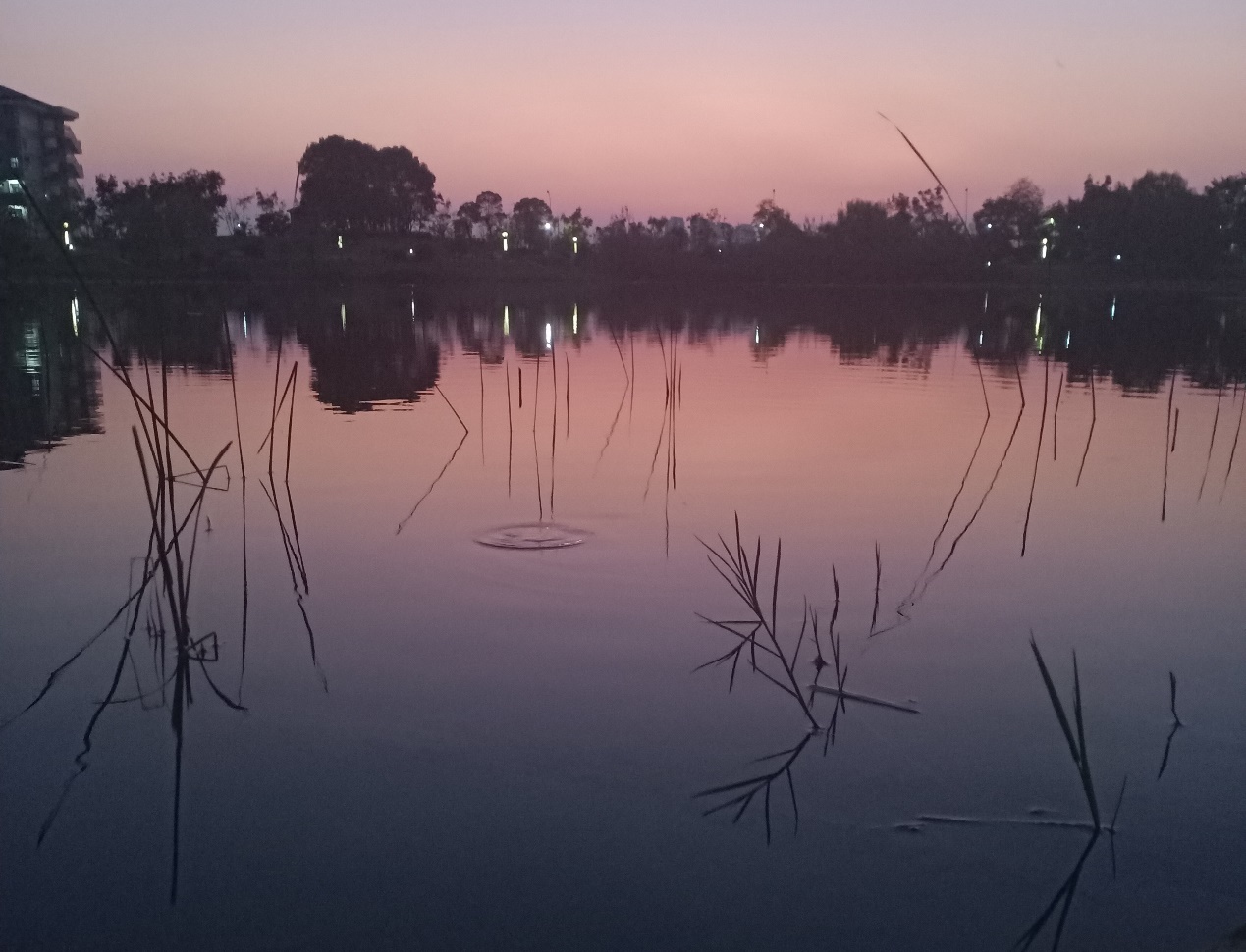湖边的夕阳描述已自动生成
